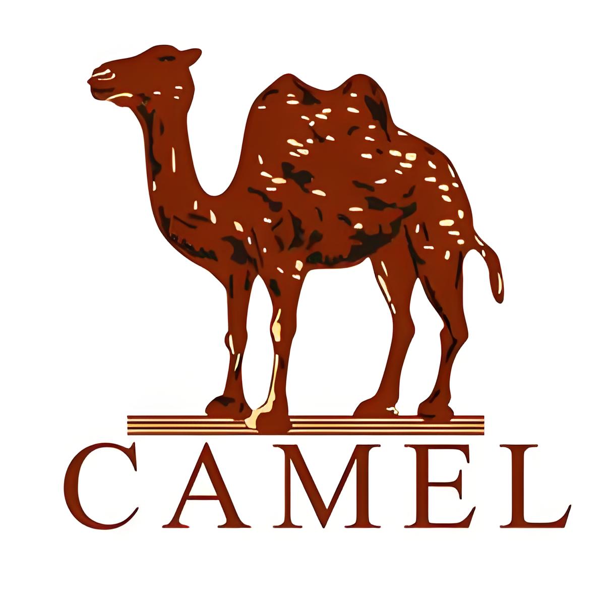 骆驼 (CAMEL)